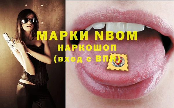 хмурый Алзамай