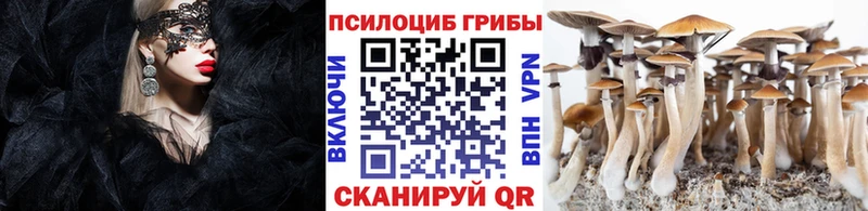 дарк нет клад omg ONION Псилоцибиновые грибы прущие грибы Гусь-Хрустальный купить наркотики цена